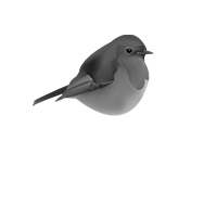 Grey Robin